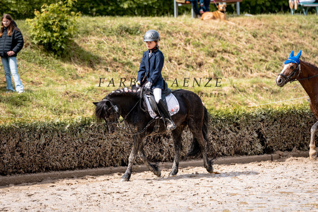 DSC_0781 | farbentaenzefotografie - Realisiert mit Pictrs.com