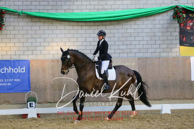 IMG_2726 | Turnierfotos kaufen im Webshop von Daniel Kuhl Photography – entdecke professionelle Reitsportfotos aus Turnieren & Events. Hochwertige Turnierbilder online bestellen & sichern. Jetzt Fotos von Reitsportturnieren kaufen!
