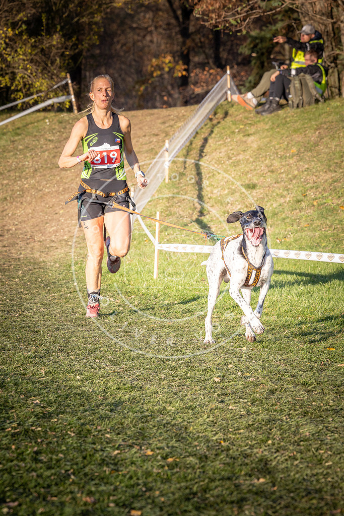CaniXpix_0L8A0504 | Hundefotografie, Tierfotograf, Pfotenfotografie, Fotoshooting Hund, Hunde Portrait, Hundesport, Hundeportraits, Heideshooting, Hunde, Sportfotograf, Hundefotograf, Turnierhundsport, THS,  - Realisiert mit Pictrs.com