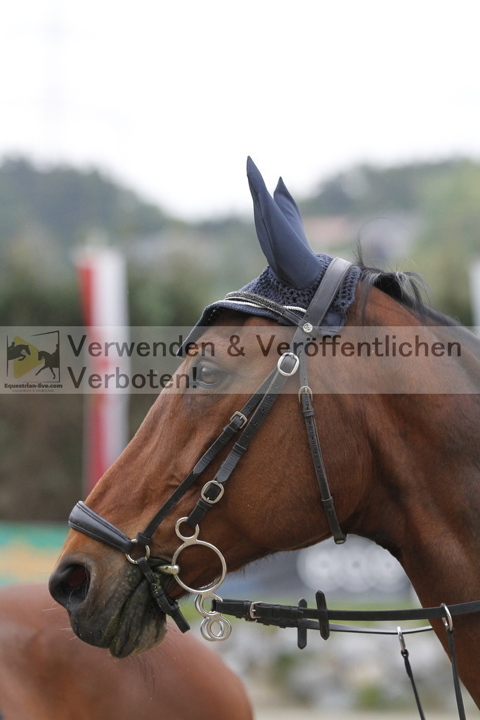 _MG_3117 | equestrian-live-com