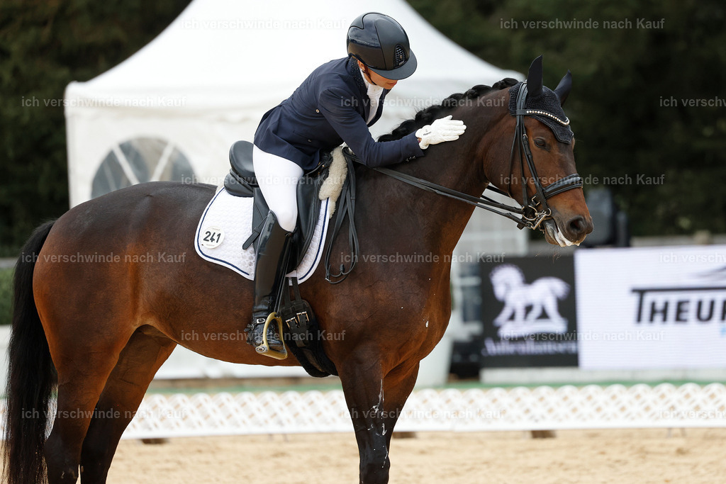 3-241-Dressur M_-StoibPH-2351 | working equitationturnier fotograf videograf stoibphotography marixx film working equitation deutschland reitsport turnierfotografie eventfotografie equestrian events