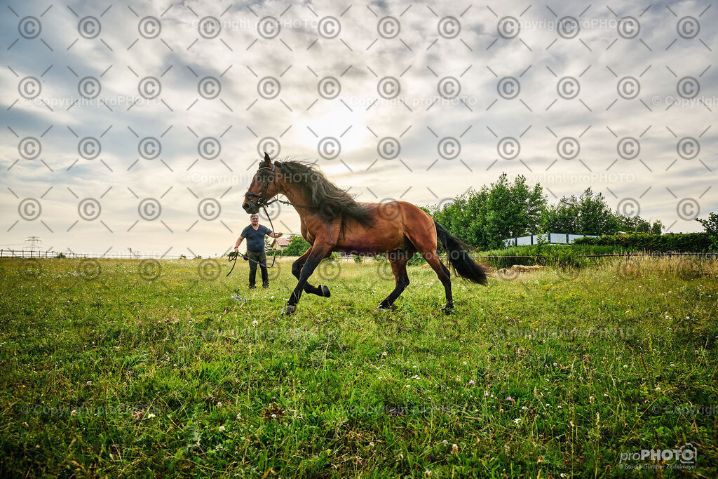 077_202406_Niki-Herodes_NZ9_9789 | proPHOTO - Realisiert mit Pictrs.com