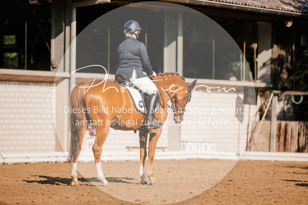 3I6A8736 | Stimmungsvolle Portraits und Reitsportfotografie im Ruhrgebiet und im Münsterland.

Pferdefotografie, Hundefotografie, Tierfotografie, Reportagen, Portraits von Tier und Mensch, Turnierfotografie in Bochum, Recklinghausen, Marl, Haltern am See, Dülmen.. - Realisiert mit Pictrs.com