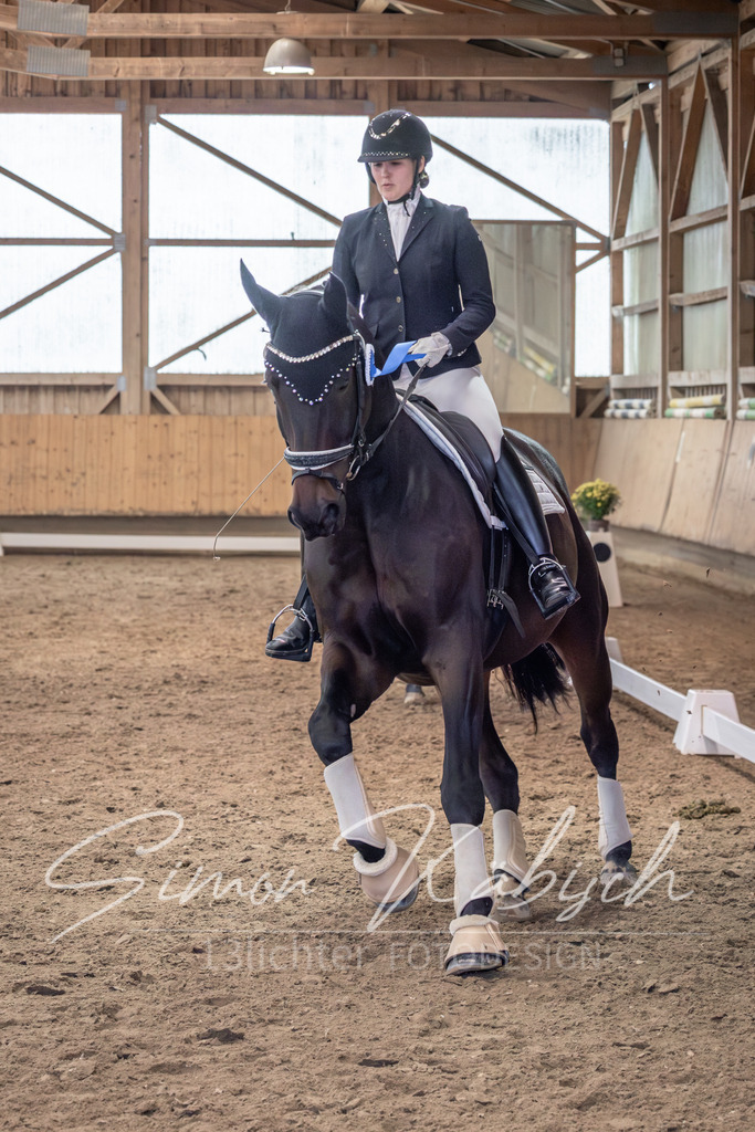 20251011-_3LI0875 | Tierfotografie Pferde, Hunde, Katzen, Haustiere.
Turnierfotografie Reitturniere, Reiten, Springreiten, Dressur in Hanau, dem Main-Kinzig-Kreis und dem Rhein-Main- Gebiet um Frankfurt