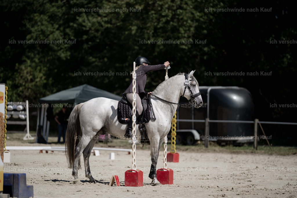 WM_ST_83_stoibphotography__SO11584 | working equitationturnier fotograf videograf stoibphotography marixx film working equitation deutschland reitsport turnierfotografie eventfotografie equestrian events