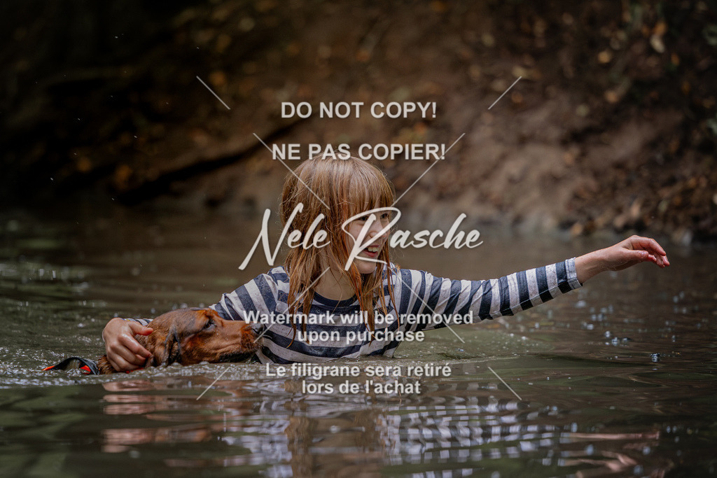 nelerasche_SaWingst1130-1200_370 | nelerasche