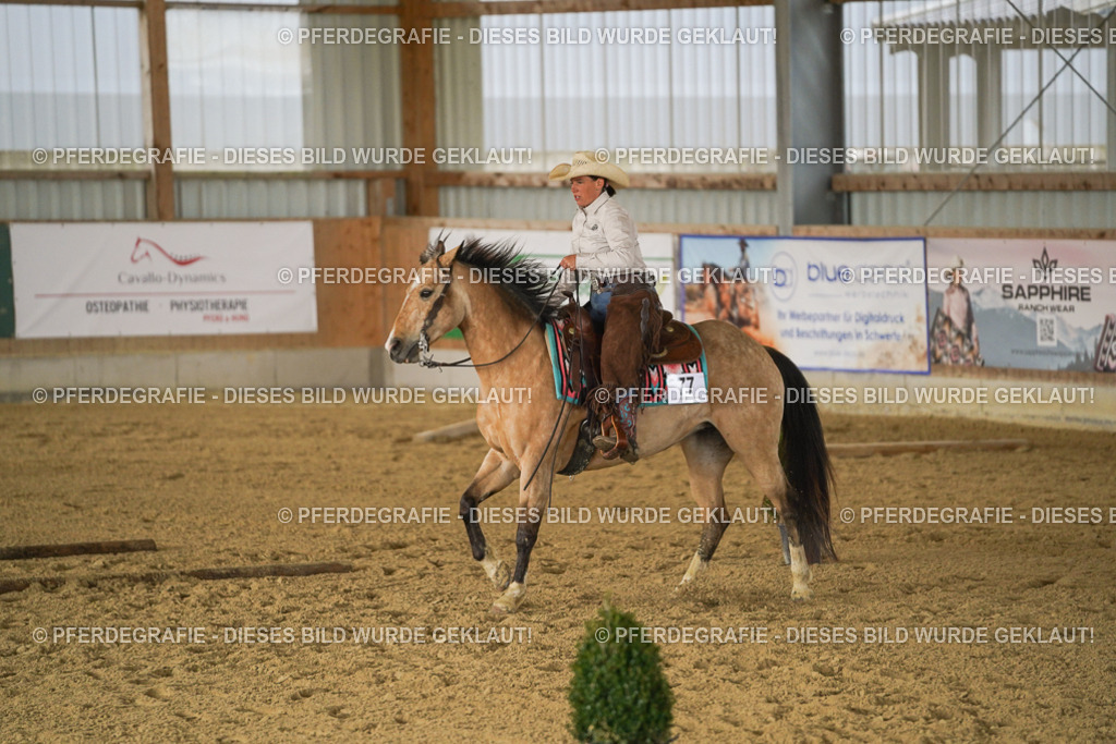 DSC03113 | Pferdegrafie