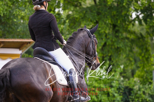 DKP41153 | Turnierfotos kaufen im Webshop von Daniel Kuhl Photography – entdecke professionelle Reitsportfotos aus Turnieren & Events. Hochwertige Turnierbilder online bestellen & sichern. Jetzt Fotos von Reitsportturnieren kaufen!