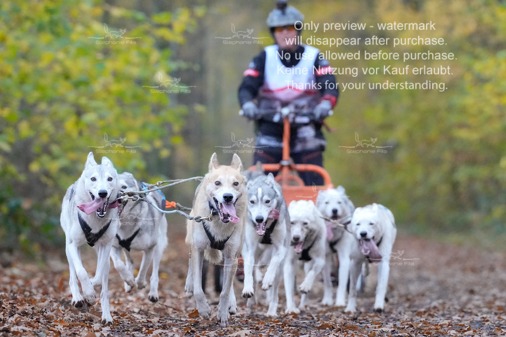 AusschnitteSo-18 | stephaniefillaphotographie - Realisiert mit Pictrs.com