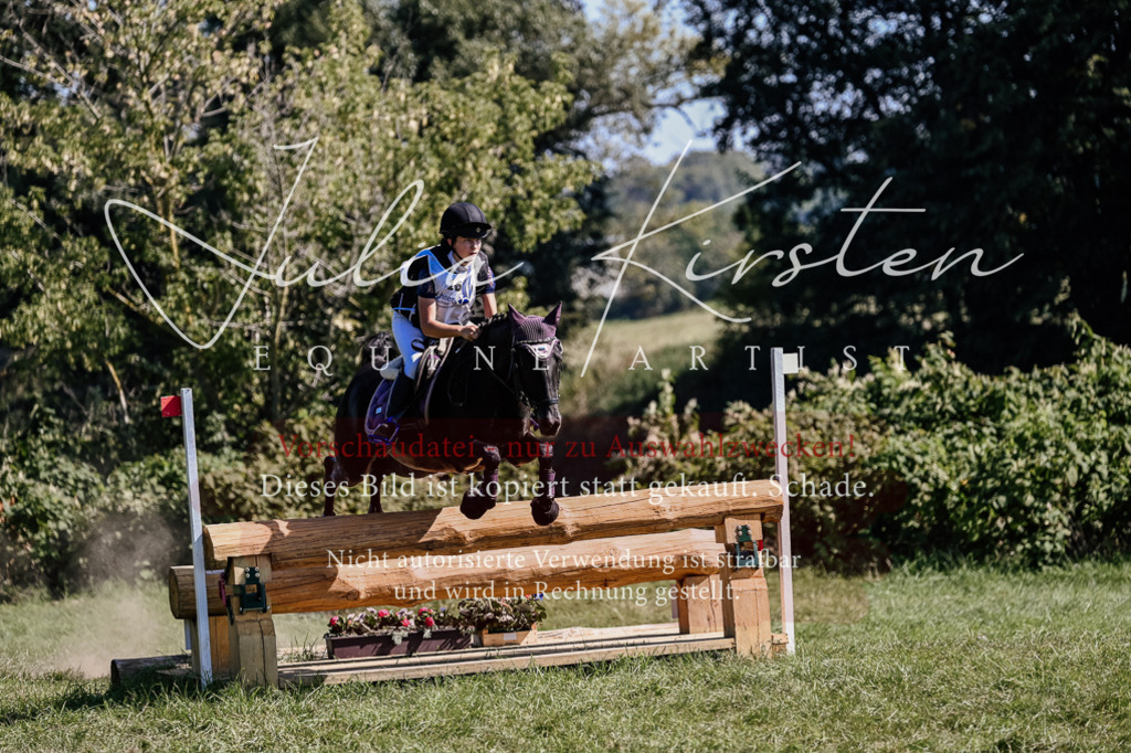 DSC_1954 | Pferde- und Turnierfotografie in Westsachsen. Pferdeportraits, Auftragszeichnungen und intuitive Kunst.