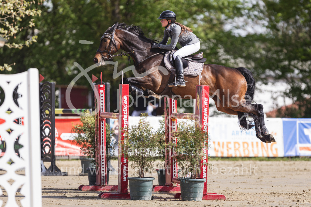 260503_Spenge_7_M2-Spr-m-steig-Anf-738 | Deine schönsten Turniermomente als professionelle Fotos! Entdecke hochwertige Pferdesport-Fotografie im Online-Shop. Jetzt Fotos finden & bestellen!