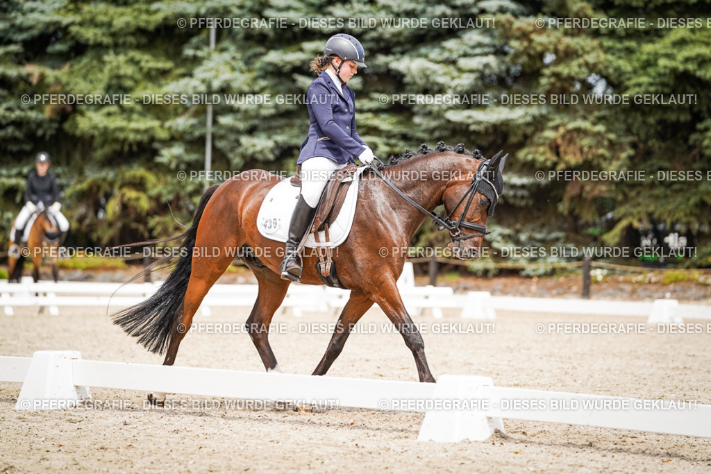 DSC04277 | Pferdegrafie