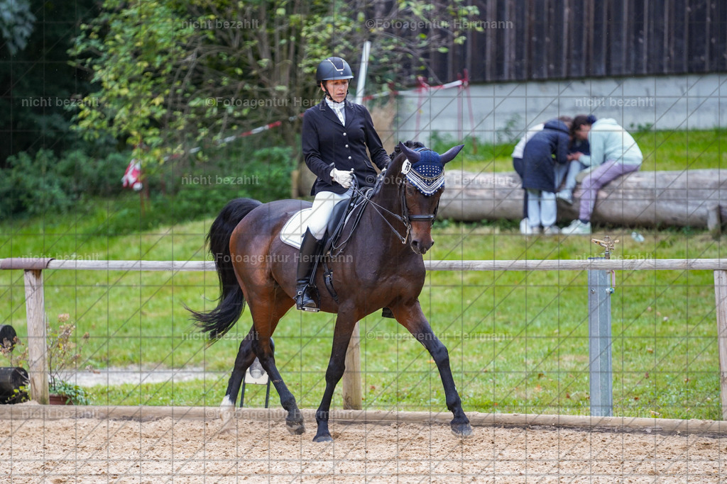 20231007-SN_00927 | Professionelle Turnier- und Reitsportfotografie - mit dem Finger am Auslöser. Pferdebilder aus dem Reitsport von den Turnierfotografen  Bayern , Pferdefotograf Bayern, Pferdeshooting Turnierbilder, Hochzeitsfotograf, Eventfotograf, Hochzeitsbilder