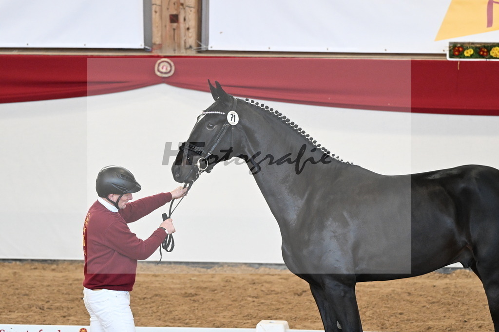 Kat.-Nr. 71 v. Jameson RS2_Greim_2250587 | hf-fotografie - Realisiert mit Pictrs.com