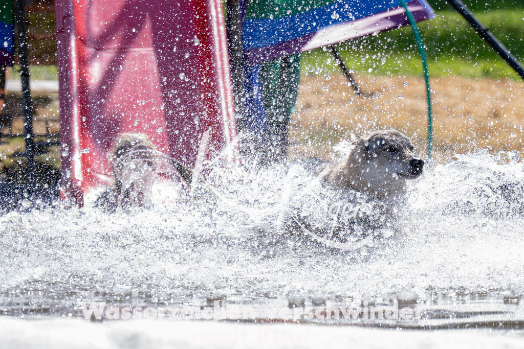 1423_ZZ94926 | kk-dogfotos