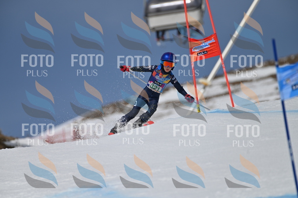 BGV_6337 | holidayphoto