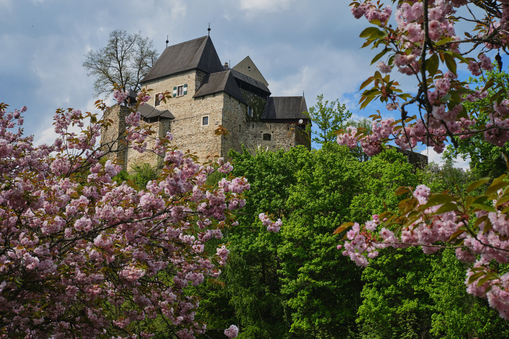 Burg Krumau an der Kamp | Krumau an der Kamp, Austria - May 02, 2025: Burg Krumau an der Kamp mit blühenden Bäumen im Vordergrund. - Realisiert mit Pictrs.com