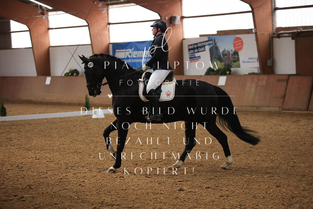 IMGT8664 | pl-fotografie