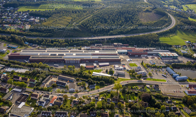 Kreuztal230911674 | Luftbild, thyssenkrupp Steel Europe Werksgelände Hammerstraße, an der Bundesstraße B54, Waldgebiet mit Waldschäden, Eichen, Kreuztal, Siegerland, Nordrhein-Westfalen, Deutschland