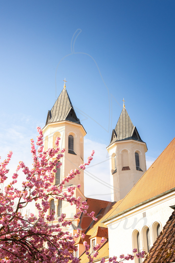 Kirschbluete_Amstetten_Mostdirn_Irmgard_Wieser_2026-2785 | Ihre Fotografin im Lungau, ihre Fotografin im Mostviertel, Wandbilder Onlineshop, Imagefotos für Ihr Unternehmen,  - Realisiert mit Pictrs.com