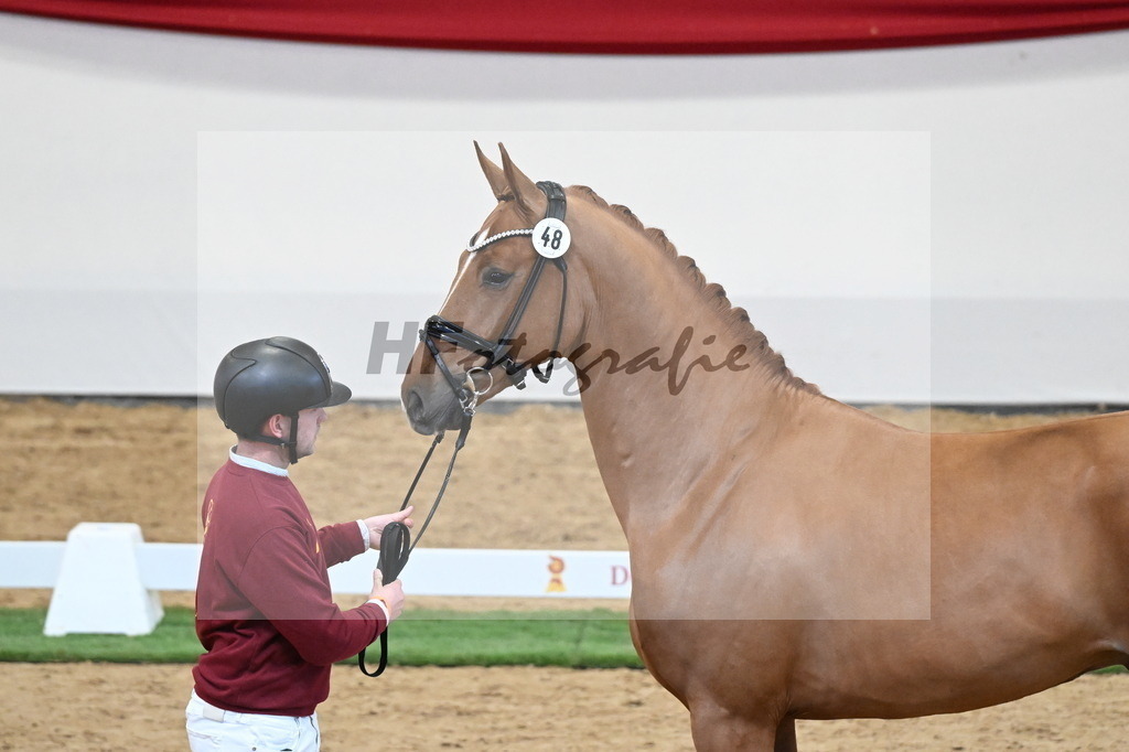 Kat.-Nr. 48 v. De Niro Gold_Schulze Averdiek_2250127 | hf-fotografie - Realisiert mit Pictrs.com