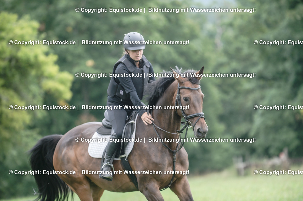 20250726_Vielseitigkeitslehrgang-Marbach_0441 | Foto: Thomas Hartig