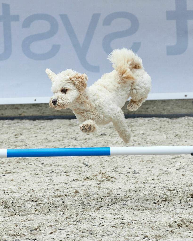 580A0099 | Peter Fridle Fotografie - Realisiert mit Pictrs.com