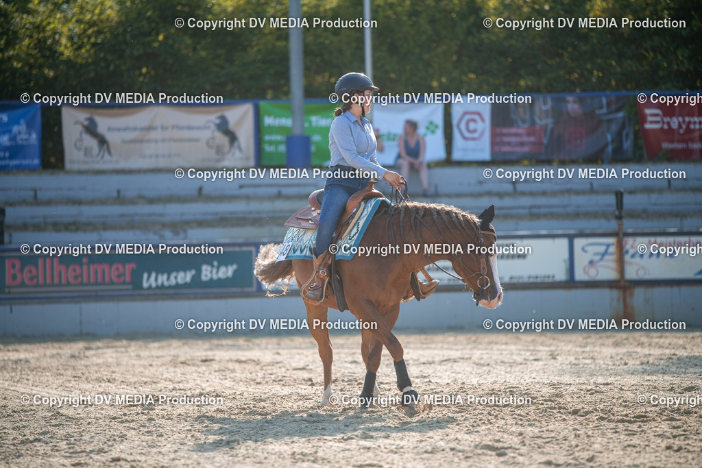 EWP_7118 | dv-media-shop - Realisiert mit Pictrs.com