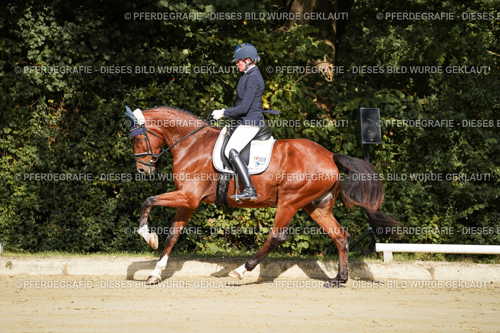 DSC07642 | Pferdegrafie