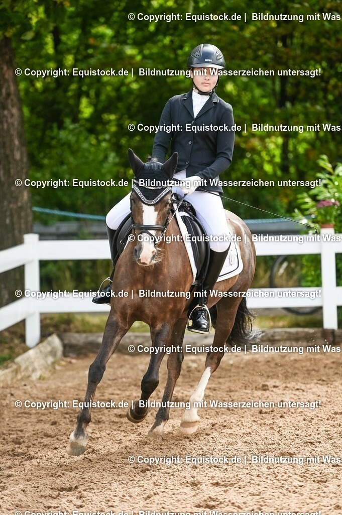 20230716_10-1_Reiter-WB Schritt - Trab - Galopp_0184 | equistock