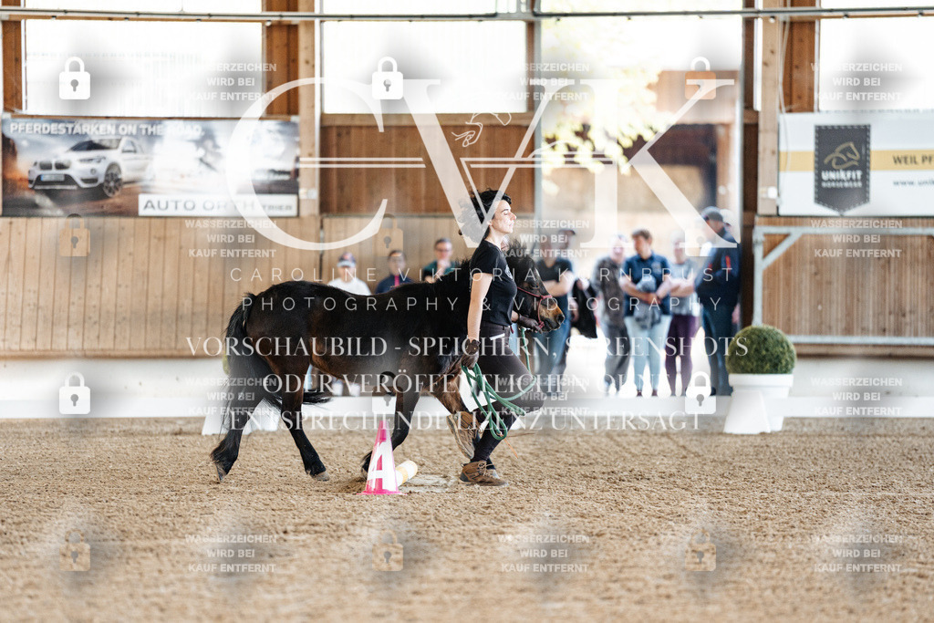 CK905191 | Turnierfotografie Pferdefotografie Trier Rheinland-Pfalz Pferdesport Reitsport Tierfotografie Sportfotografie Pferdevideo Pferdevideografie Equestrianvideography equestrianphotography  - Realisiert mit Pictrs.com