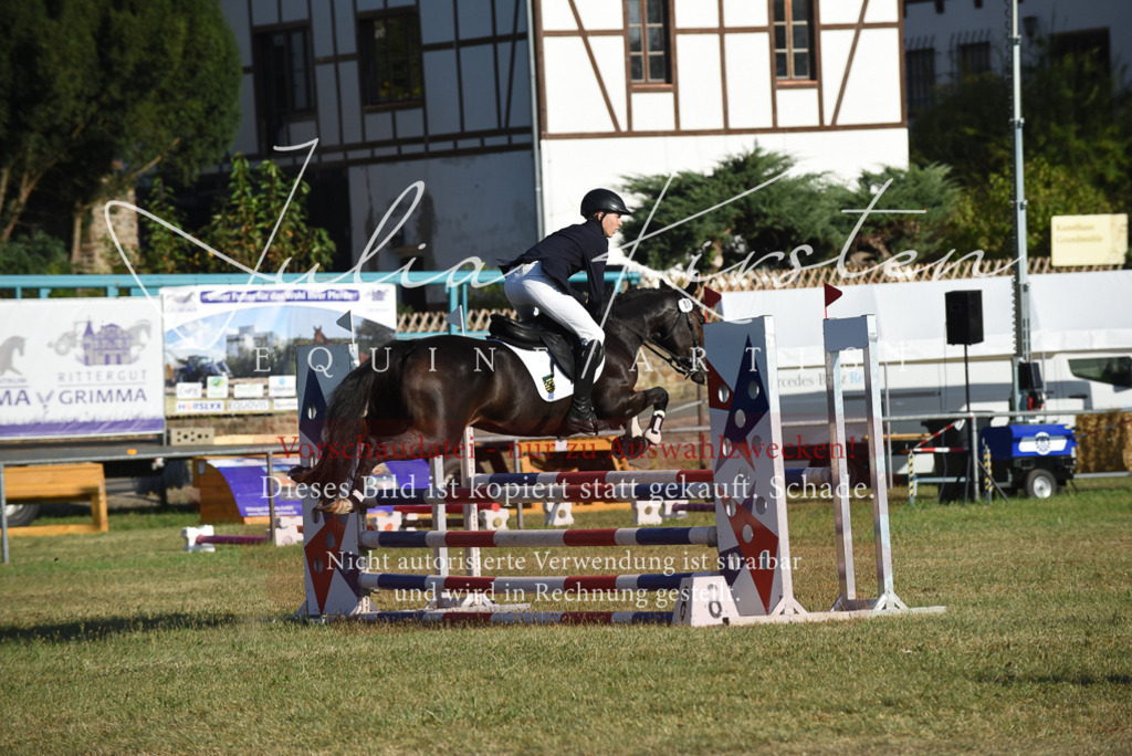 DSC_5064 | Pferde- und Turnierfotografie in Westsachsen. Pferdeportraits, Auftragszeichnungen und intuitive Kunst.