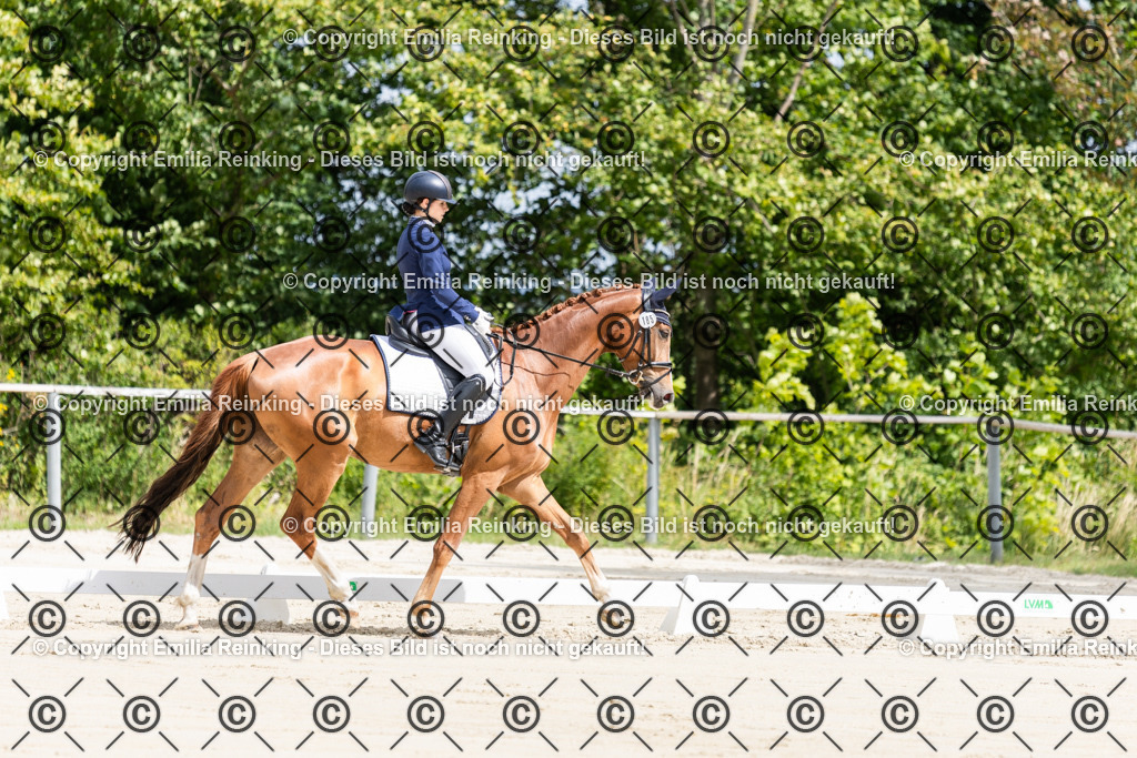 CL5A4304 | Emilia Reinking Fotografie - Realisiert mit Pictrs.com