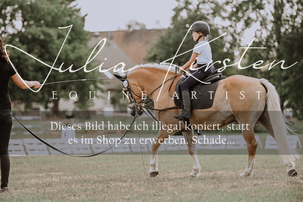 DSC_7702 | Pferde- und Turnierfotografie in Westsachsen. Pferdeportraits, Auftragszeichnungen und intuitive Kunst.