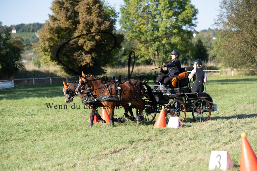 A7V04637 | Pferdefotograf