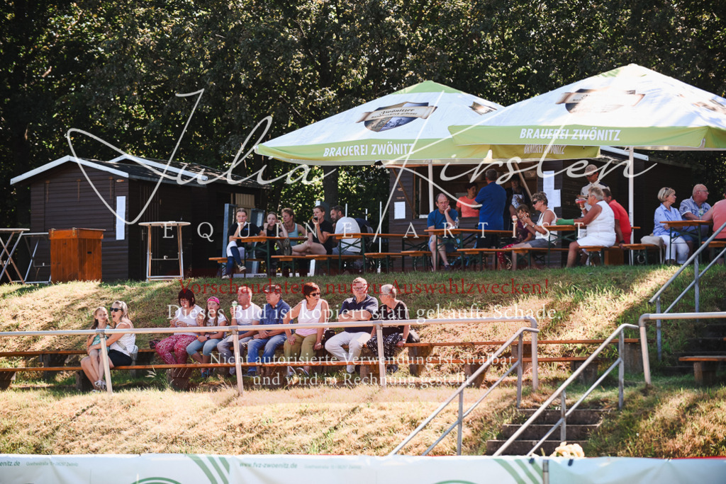 DSC_2689 | Pferde- und Turnierfotografie in Westsachsen. Pferdeportraits, Auftragszeichnungen und intuitive Kunst.