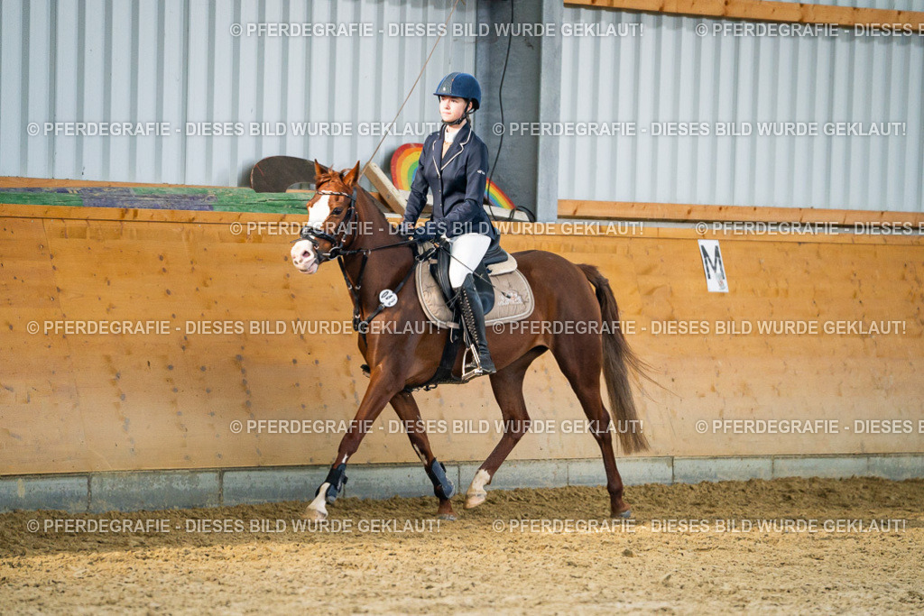 DSC00939 | Pferdegrafie