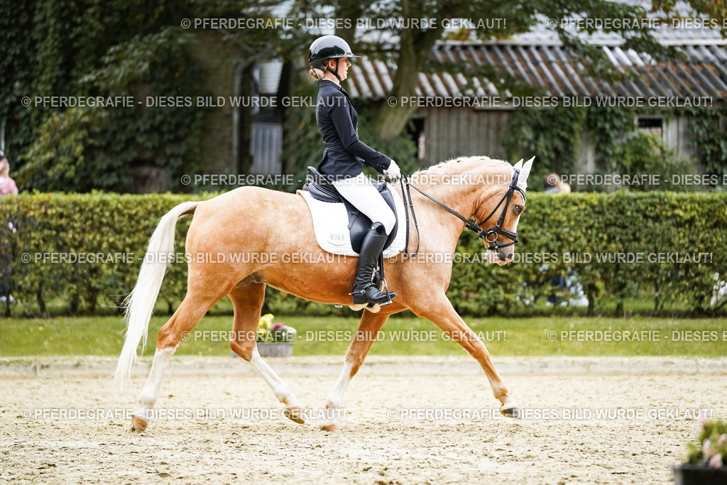 DSC01298 | Pferdegrafie