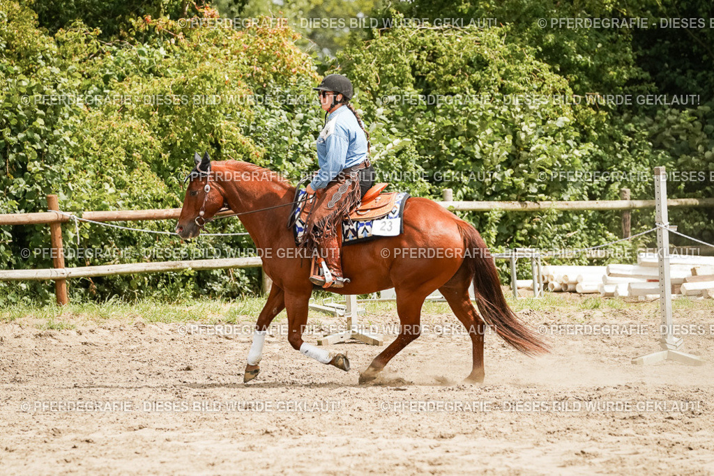 DSC00116 | Pferdegrafie