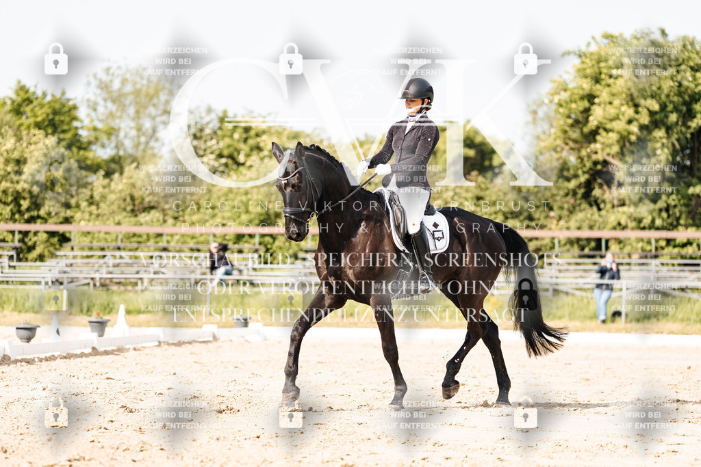 CK900211 | Turnierfotografie Pferdefotografie Trier Rheinland-Pfalz Pferdesport Reitsport Tierfotografie Sportfotografie Pferdevideo Pferdevideografie Equestrianvideography equestrianphotography  - Realisiert mit Pictrs.com