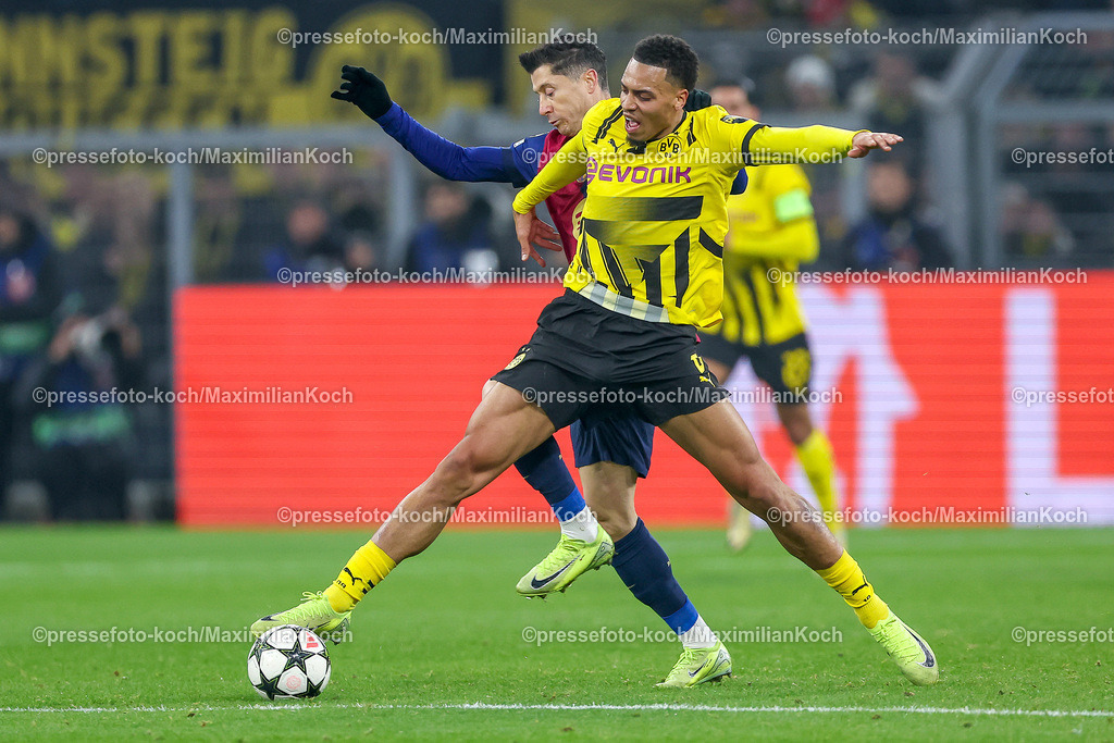 UCL11122401016 | 11.12.2024, UEFA Champions League, Borussia Dortmund - FC Barcelona, 8. Spieltag, Signal Iduna Park, Saison 2024 2025: Felix Nmecha (BVB #8) im Zweikampf gegen Robert Lewandowski (Barca #9)