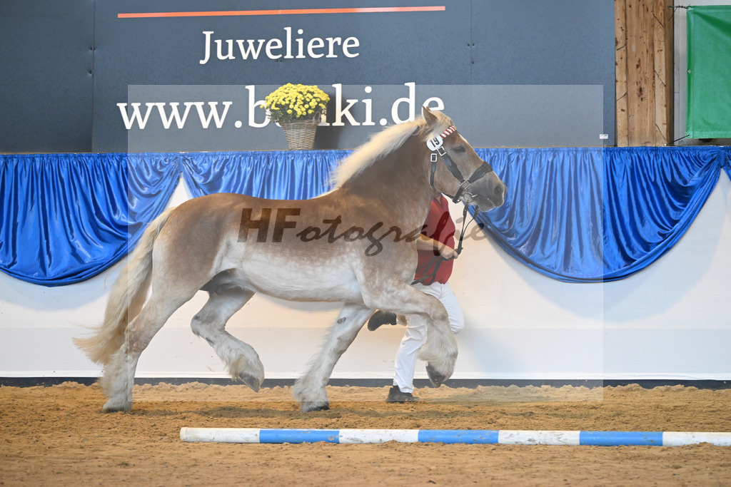 Kat-Nr. 19 Havanna_ZG Biegel_53221058 | hf-fotografie - Realizzato con Pictrs.com