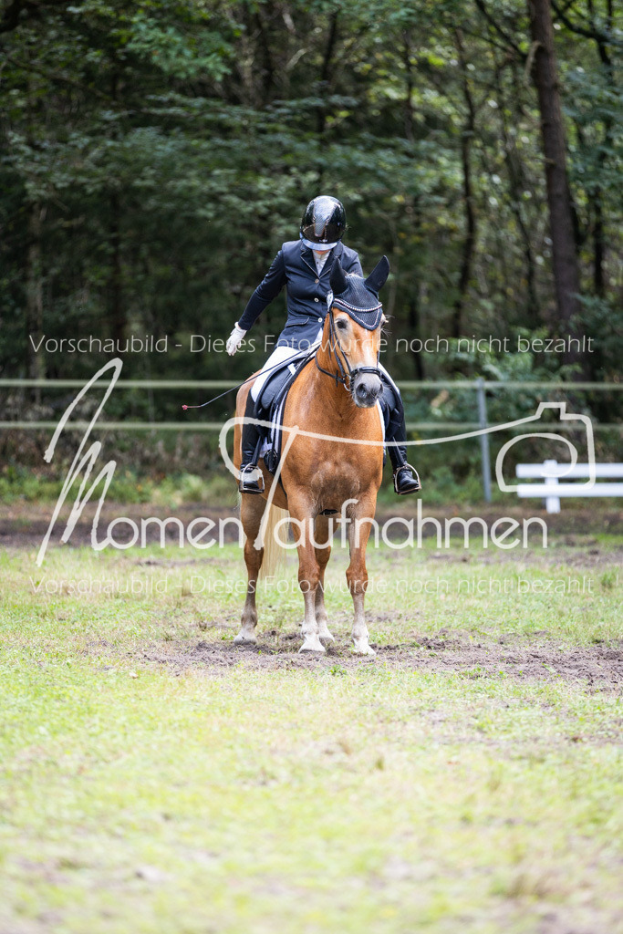 HB-Dressur-WB-063 | MomenTaufnahmen Pferdesportfotos