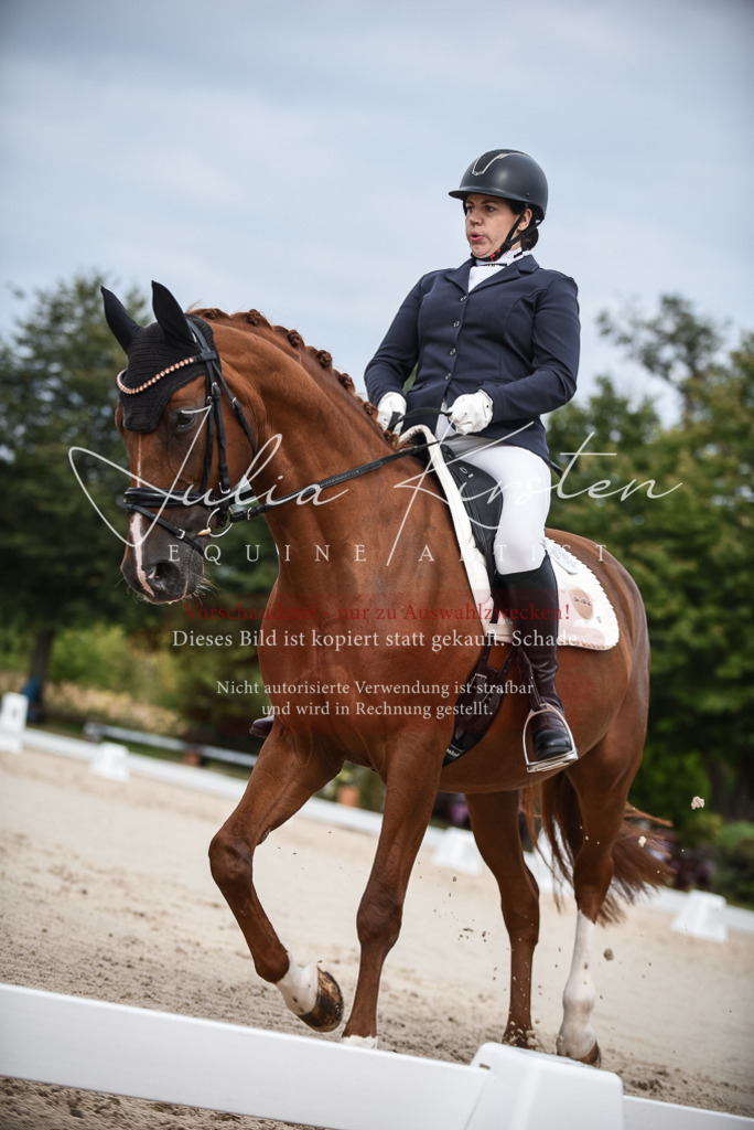 DSC_8355 | Pferde- und Turnierfotografie in Westsachsen. Pferdeportraits, Auftragszeichnungen und intuitive Kunst.