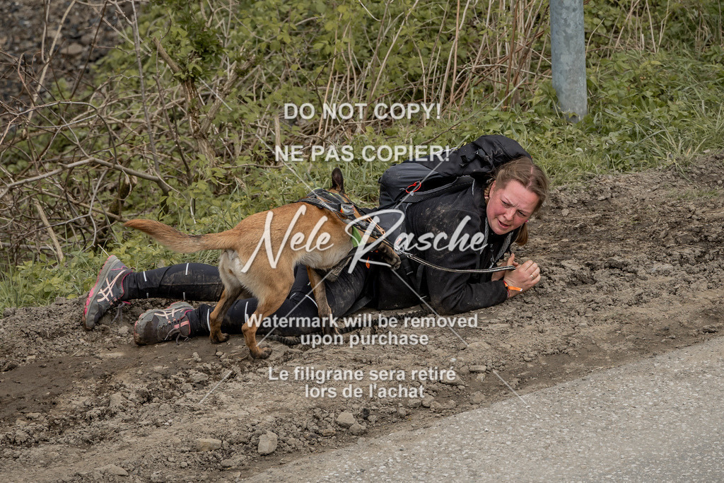 NR__2765 | nelerasche