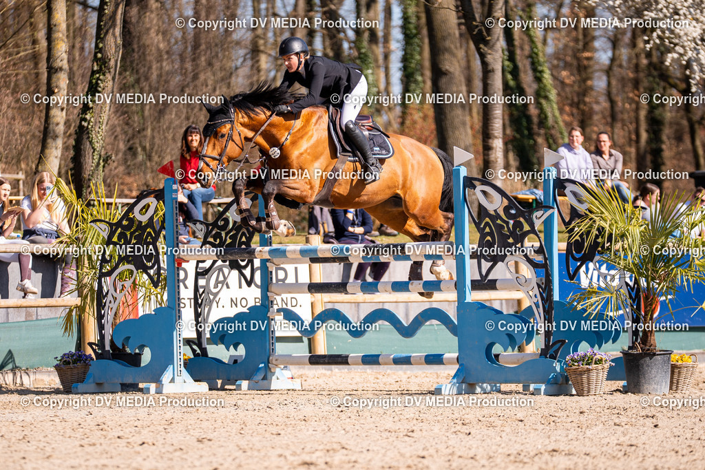 Kranichstein Tag 2-775 | dv-media-shop - Realisiert mit Pictrs.com