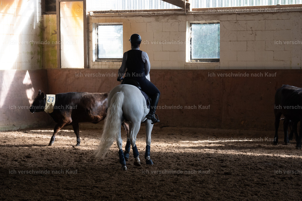 WM_COW_142_SinaFilmArt_IN05060 | working equitationturnier fotograf videograf stoibphotography marixx film working equitation deutschland reitsport turnierfotografie eventfotografie equestrian events