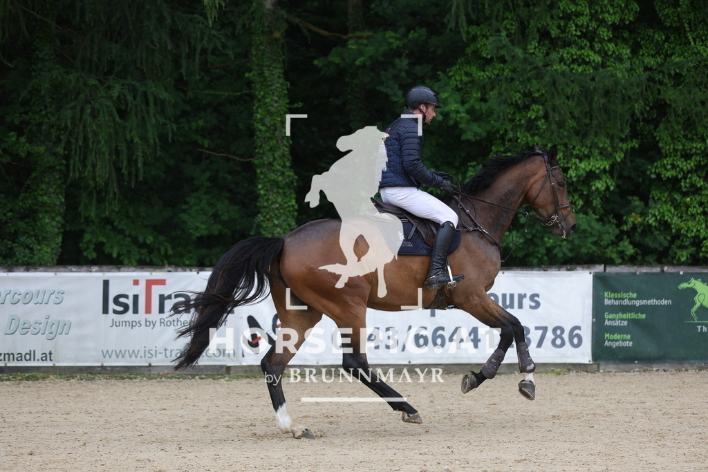 0P6A2143 | Willkommen bei Brunnmayr - Design & Fotografie – Ihrem Spezialisten für Reitturniere und Pferdeveranstaltungen in Oberösterreich, Salzburg und Bayern! Seit über 17 Jahren sind wir leidenschaftlich dabei.