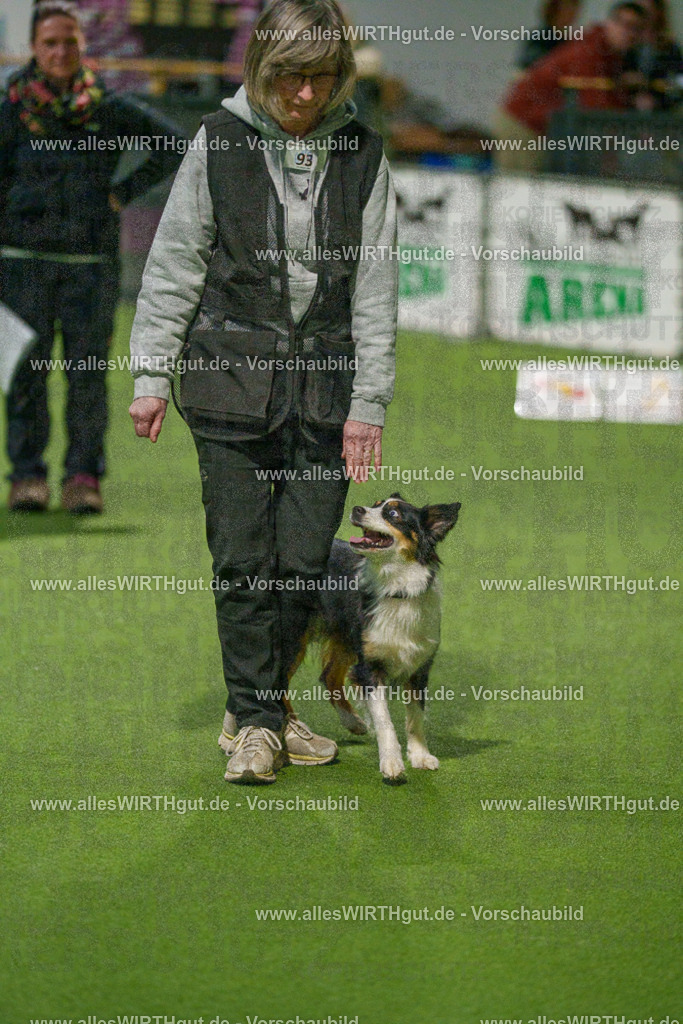 7R508981 | Professionelle Tierfotografie in Mönchengladbach von Daniel Wirth (allesWIRTHgut). Liebevolle & natürliche Bilder von Hunden & Katzen für unvergessliche Erinnerungen.