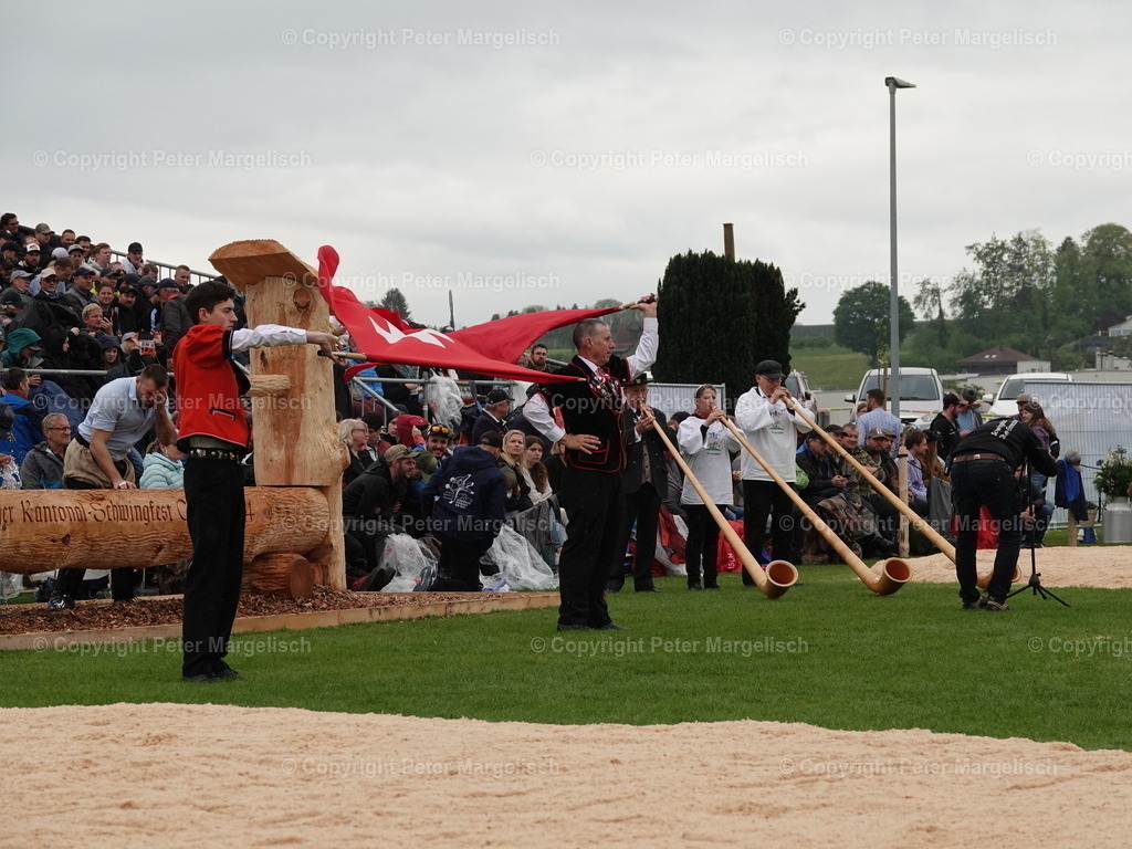 DSC06315 | Schwingen - Realisiert mit Pictrs.com